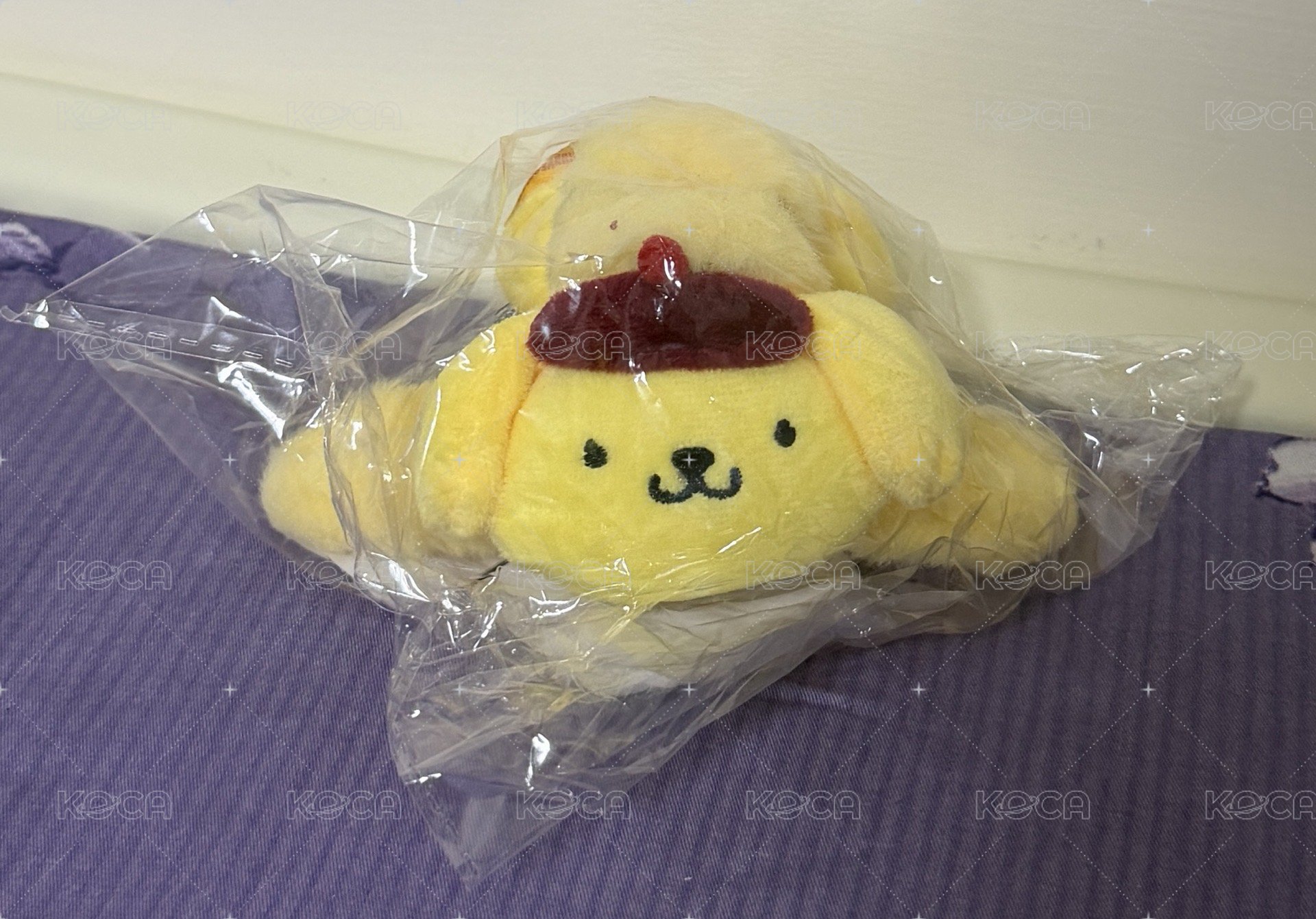 鯊魚夾