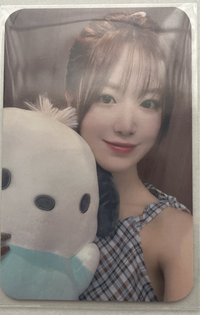 帕恰狗刷