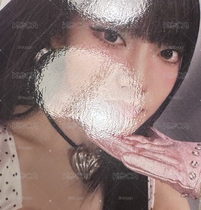 （有廠損）kiss n tell版未拆+ec特典 多送應募券