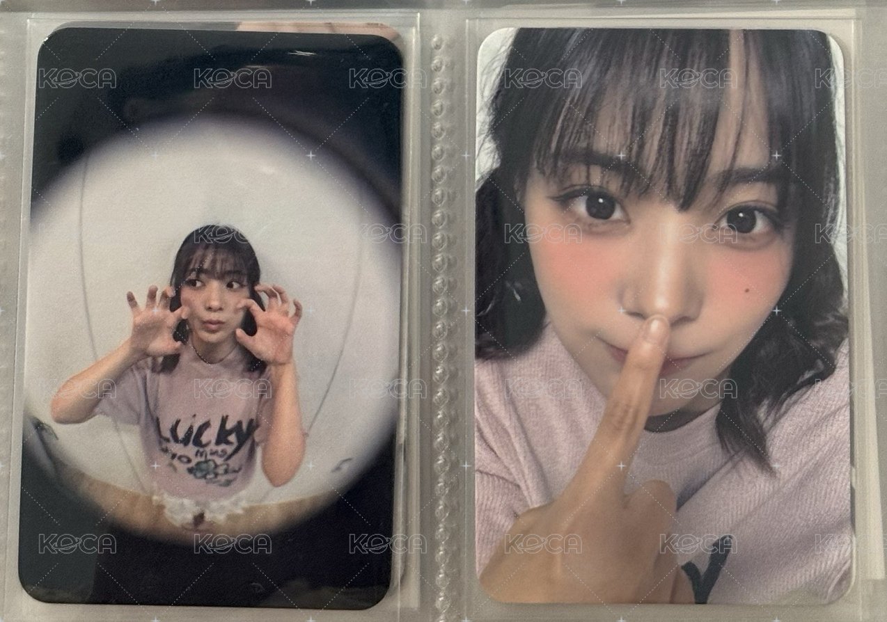 叮咚+叮咚鼻燕