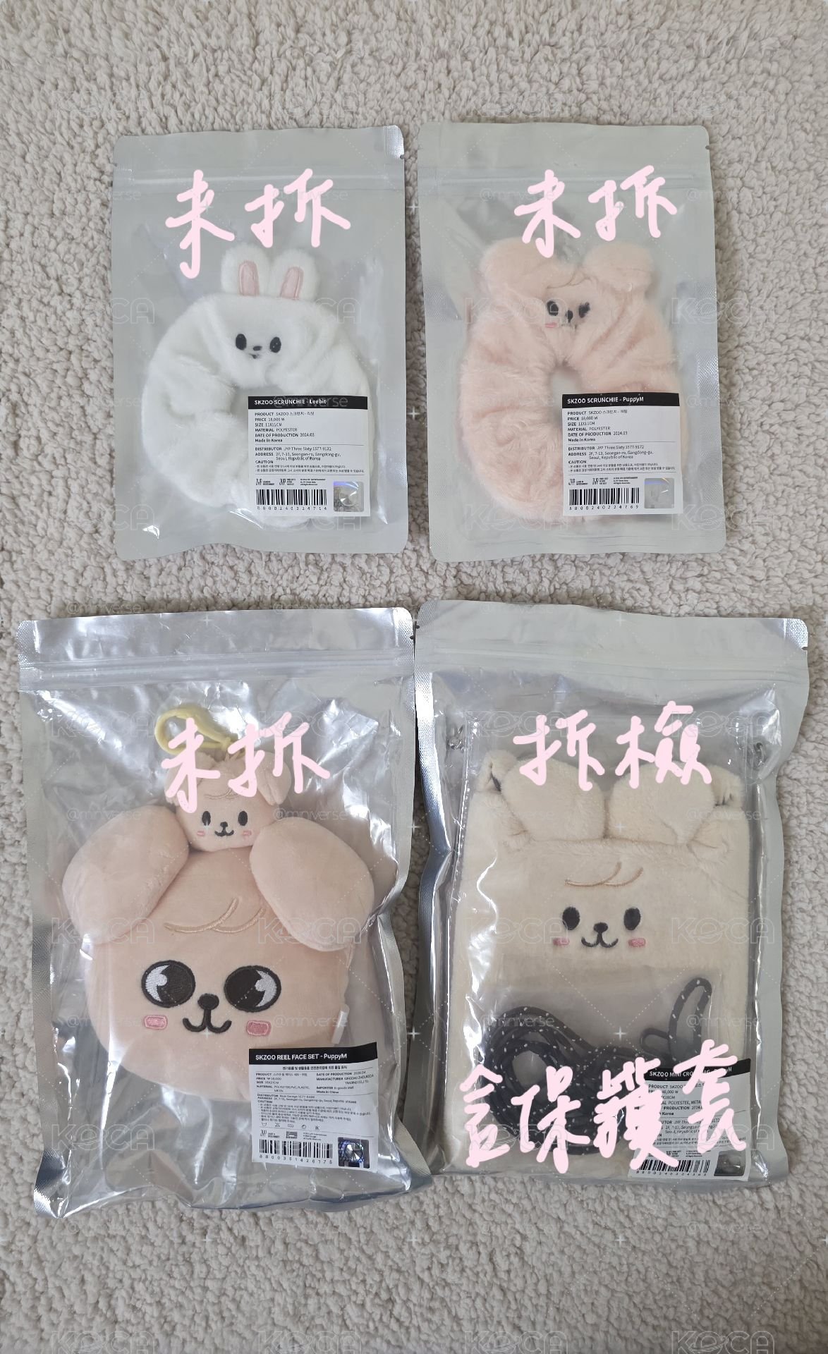 泰迪 全員週邊盤