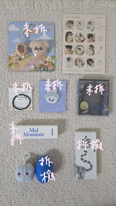 泰迪 全員週邊盤