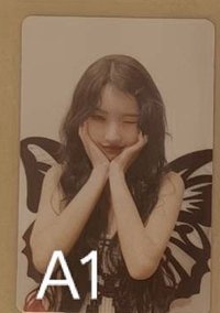 A1