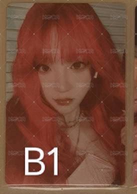 B1