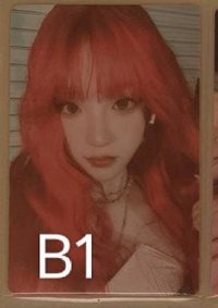 B1