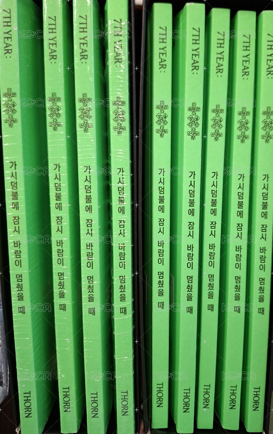 彬全專