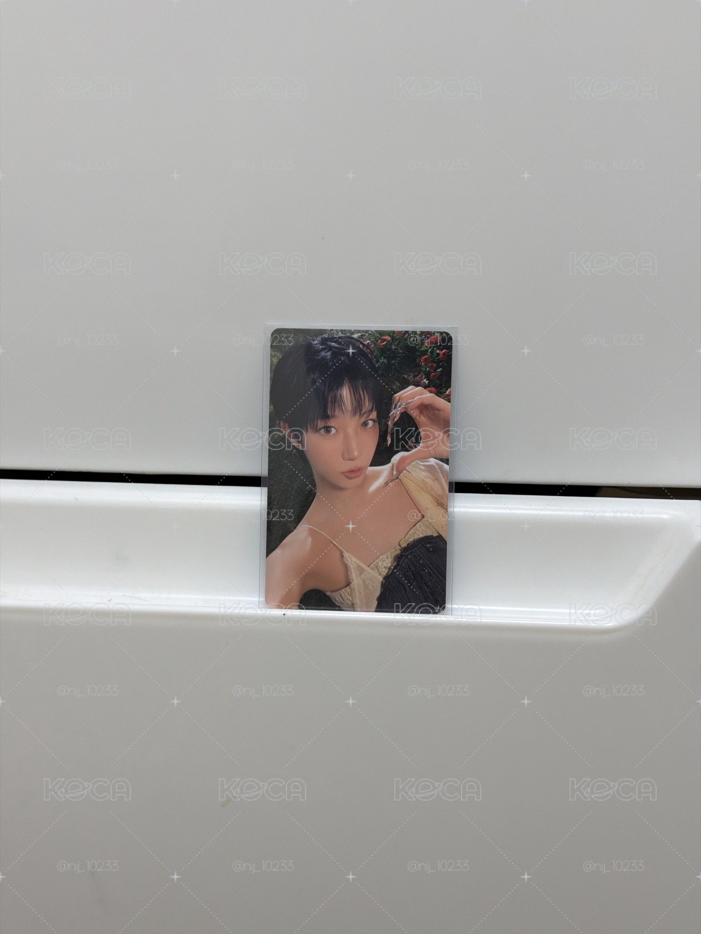 葉特典