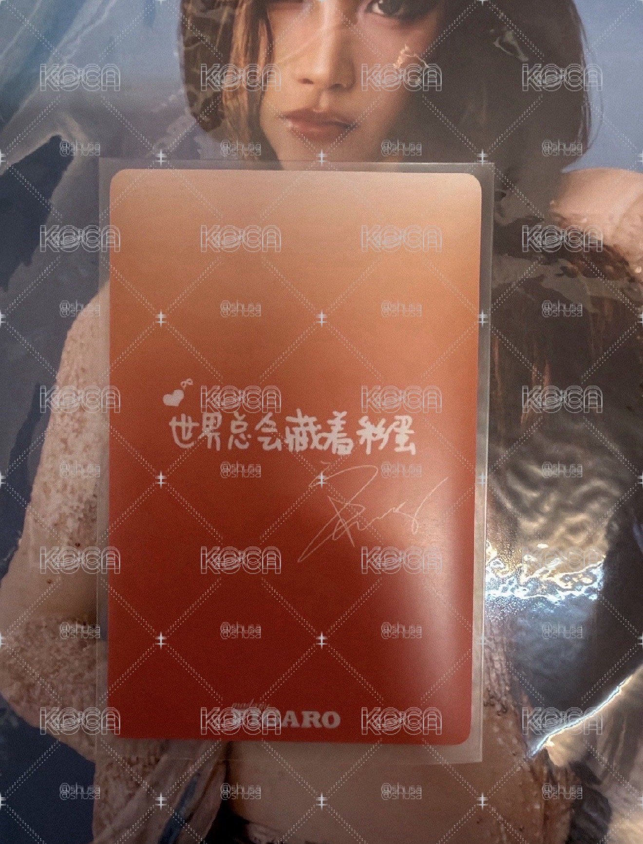 琦 B版雜誌小卡 中背（世界總會藏著彩蛋）