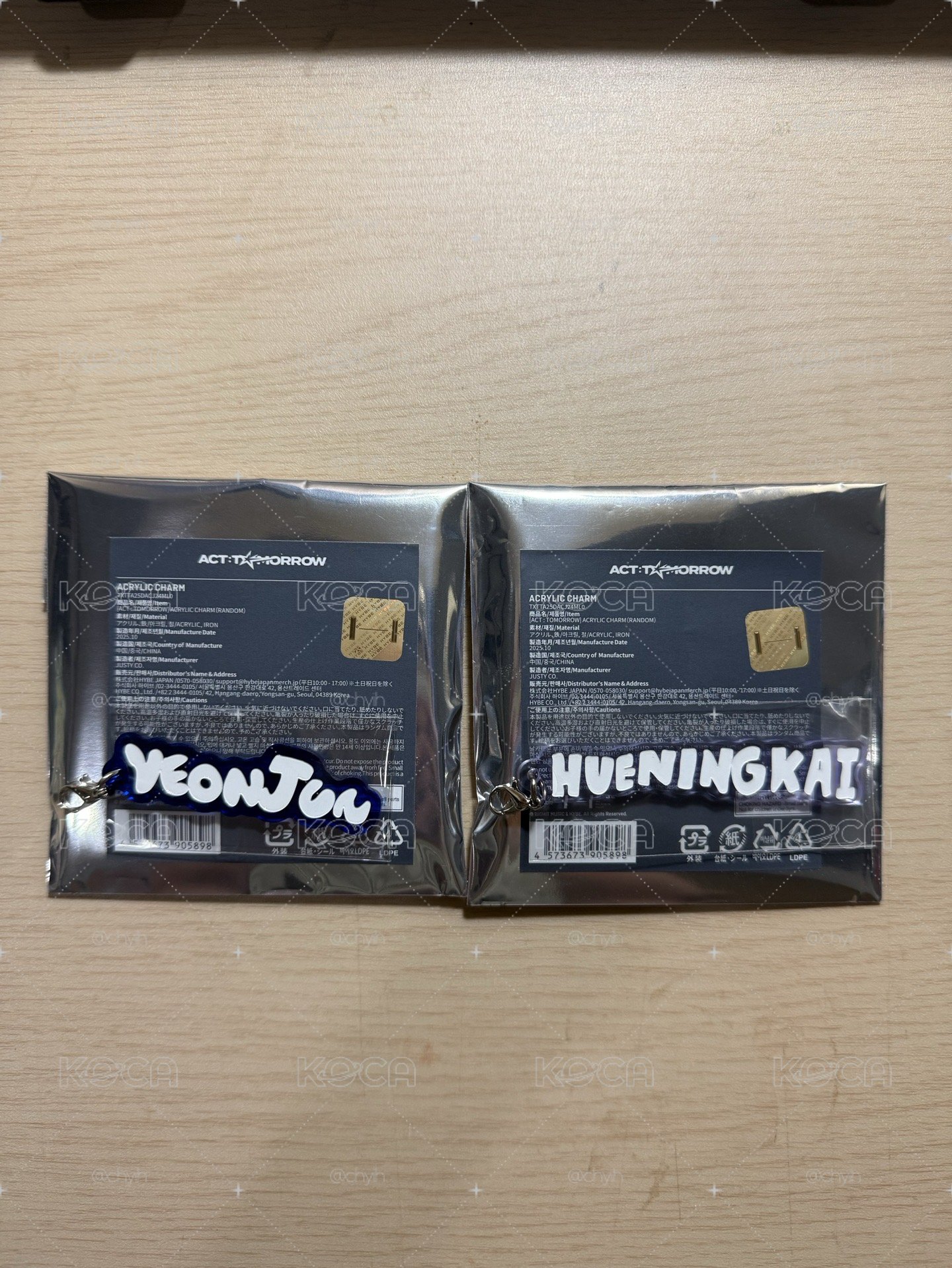 25’巡迴 鑰匙圈吊飾 