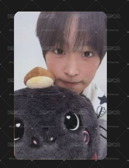 兩隻小貓