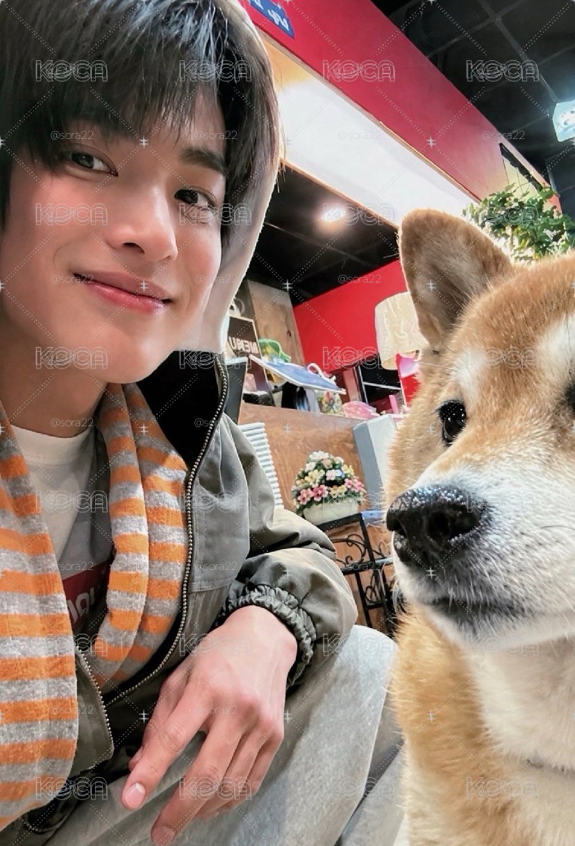 安 1.0幸運卡 小狗🐶跟小狗🐶