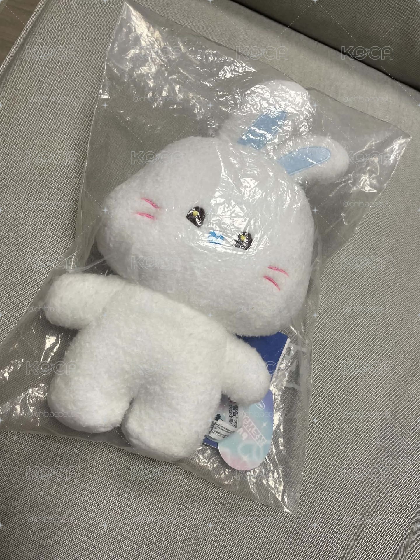 Bunini Haerin中娃