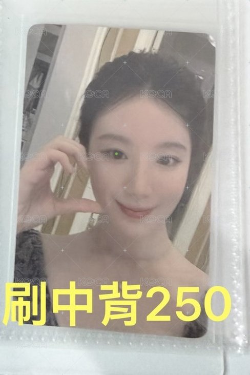刷中背-最喜歡的花是舒花