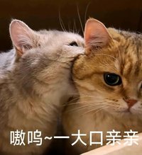 1n_miaqu