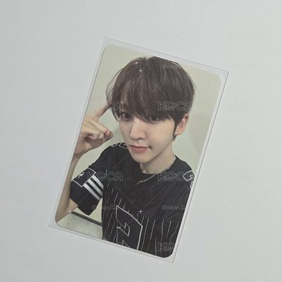 KFP 仙女樹合影 中背 東玹