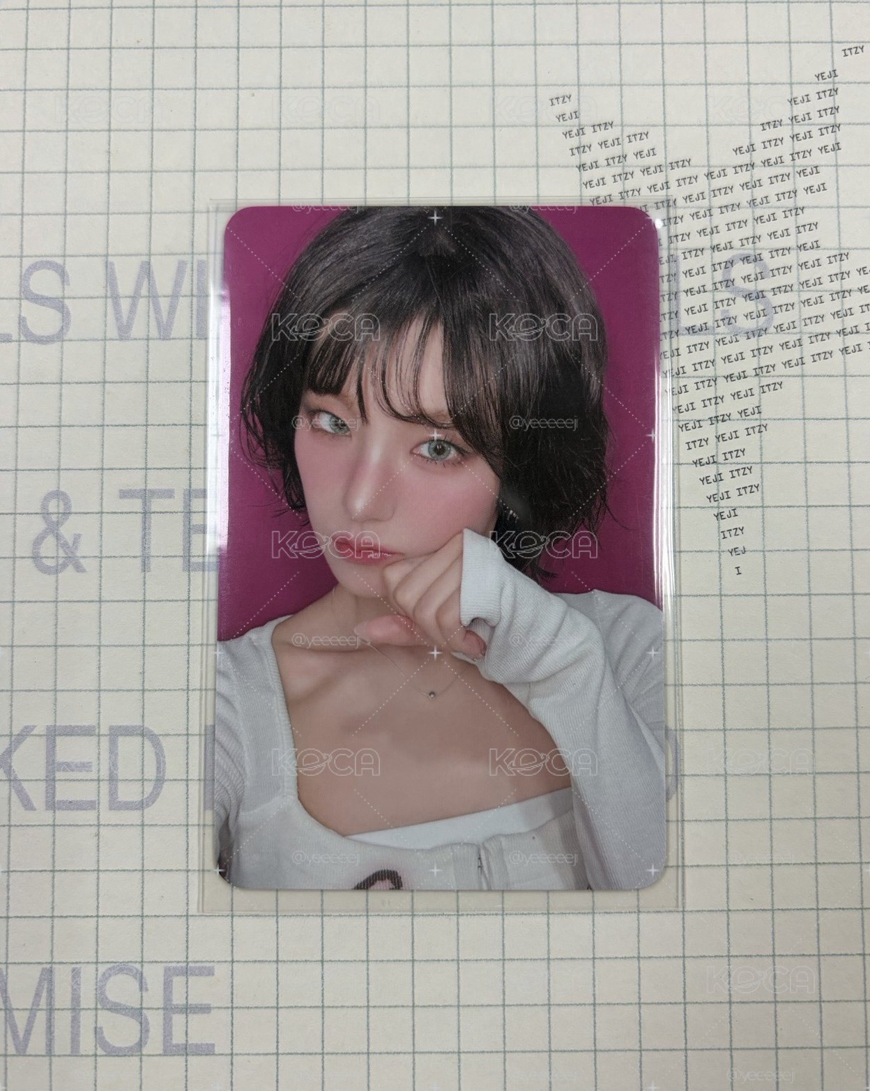 貓貓拳志