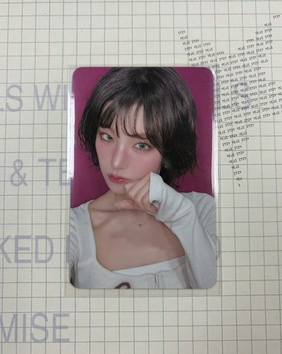 貓貓拳志