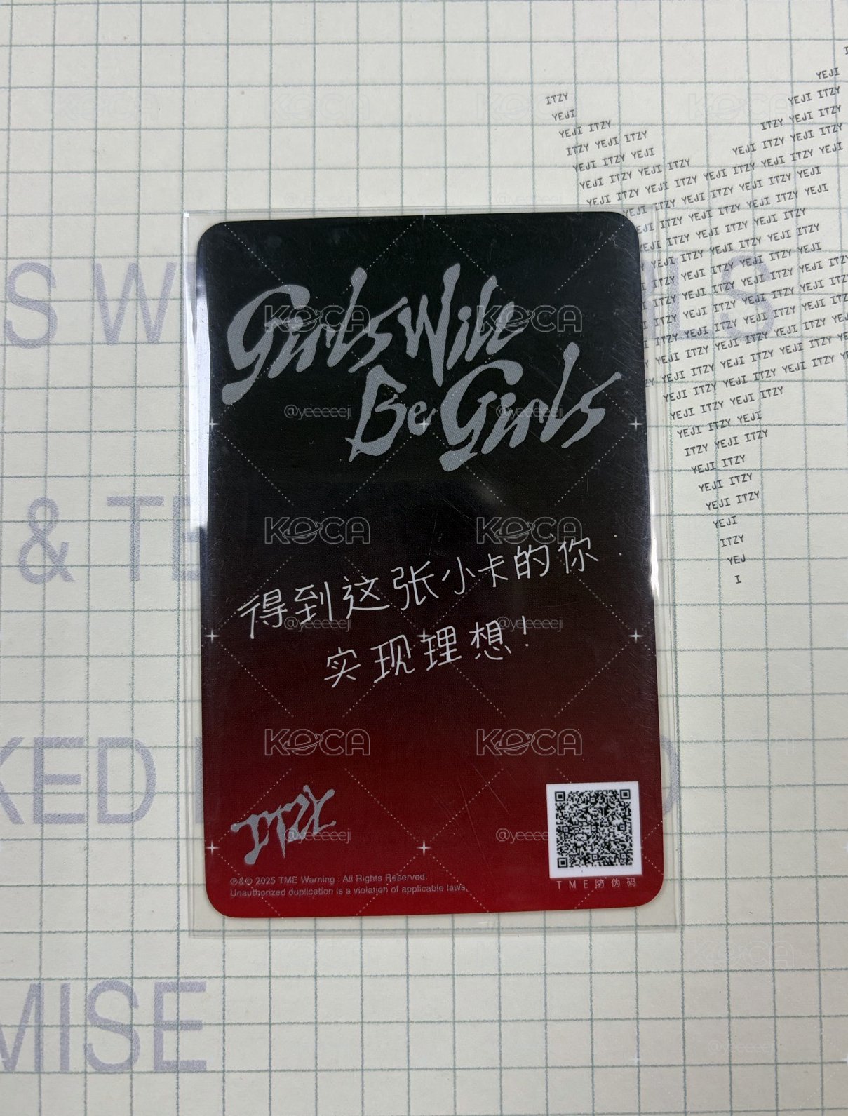 貓貓拳志
