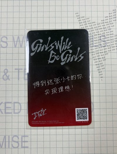 貓貓拳志
