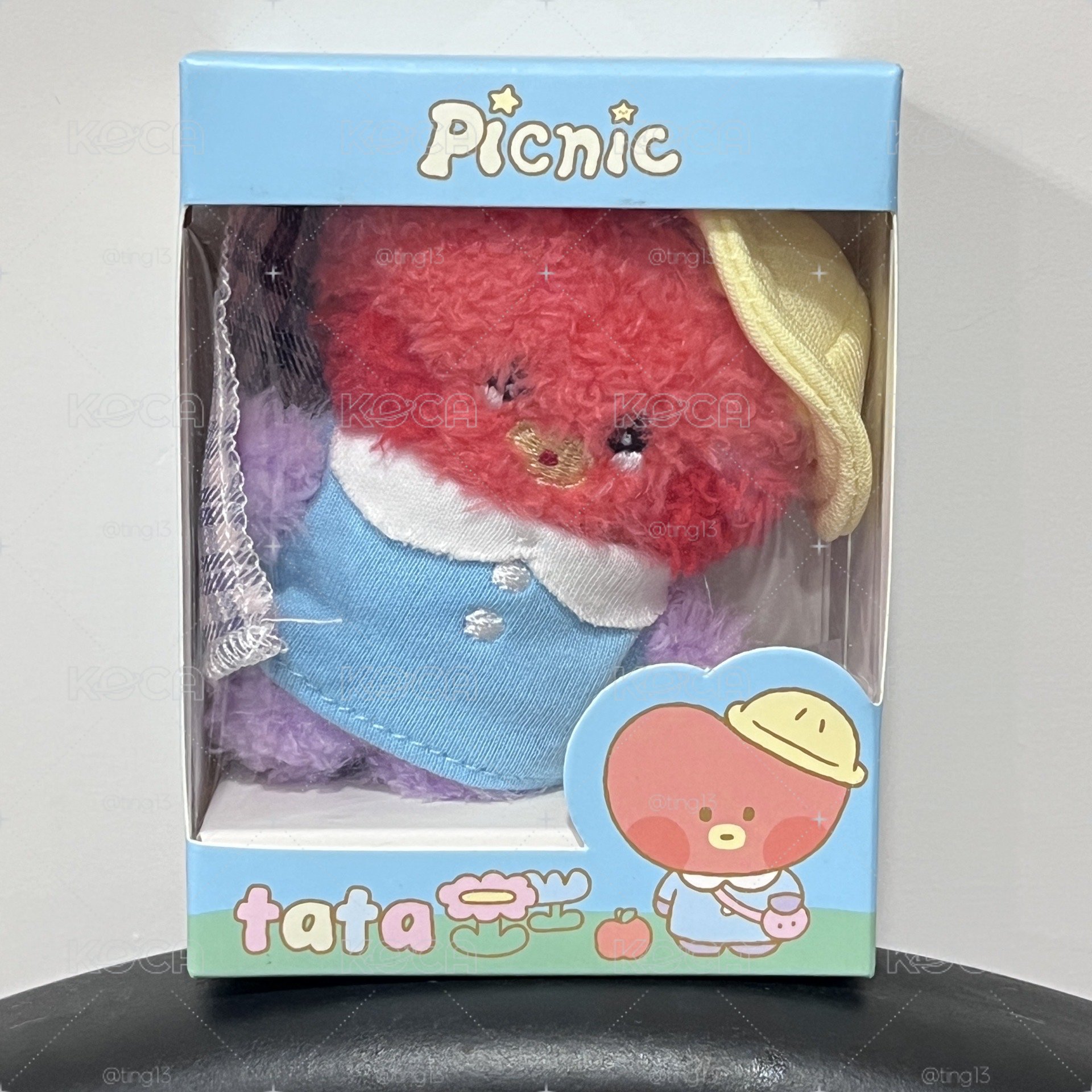 現貨 BT21野餐娃娃 盒娃