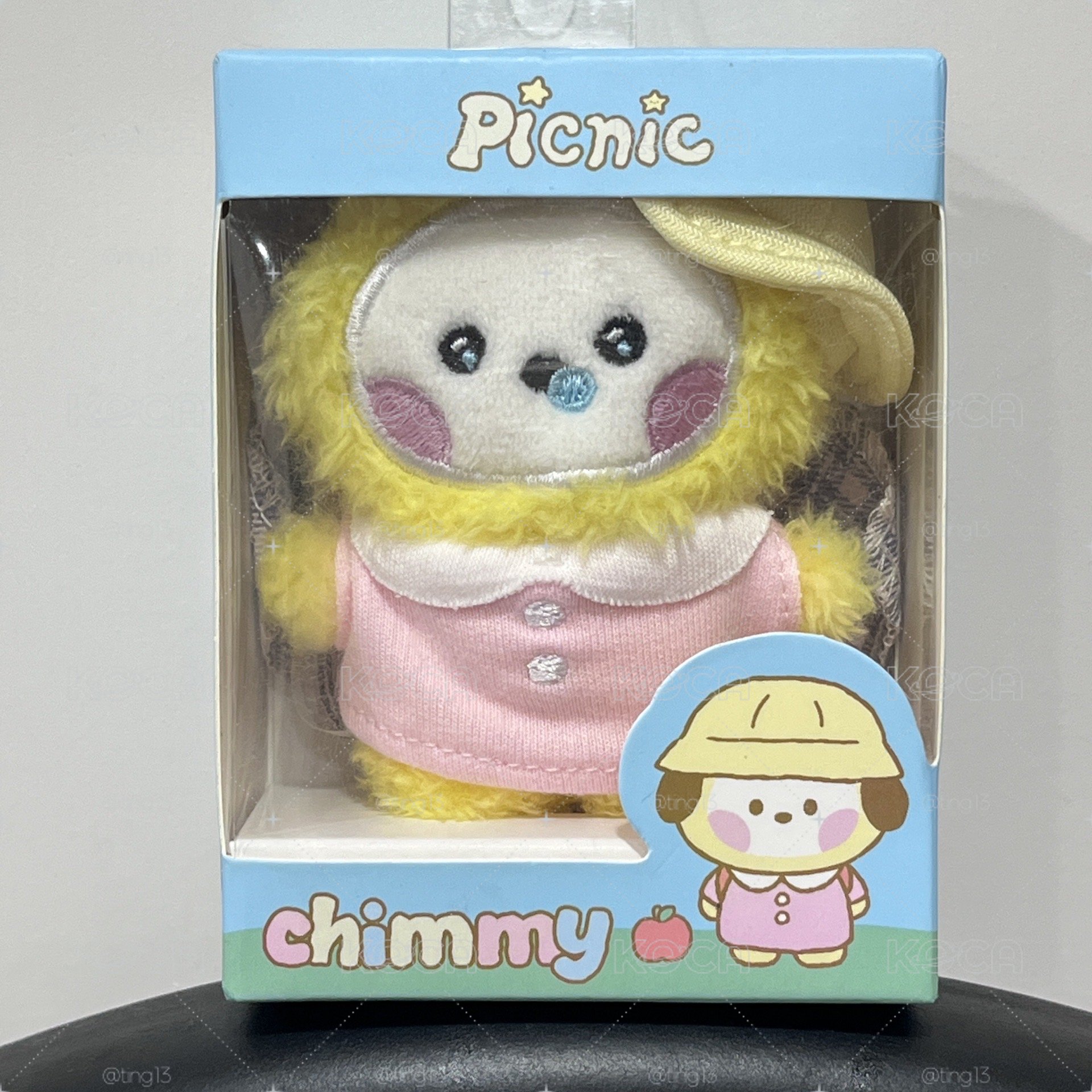 現貨 BT21野餐娃娃 盒娃