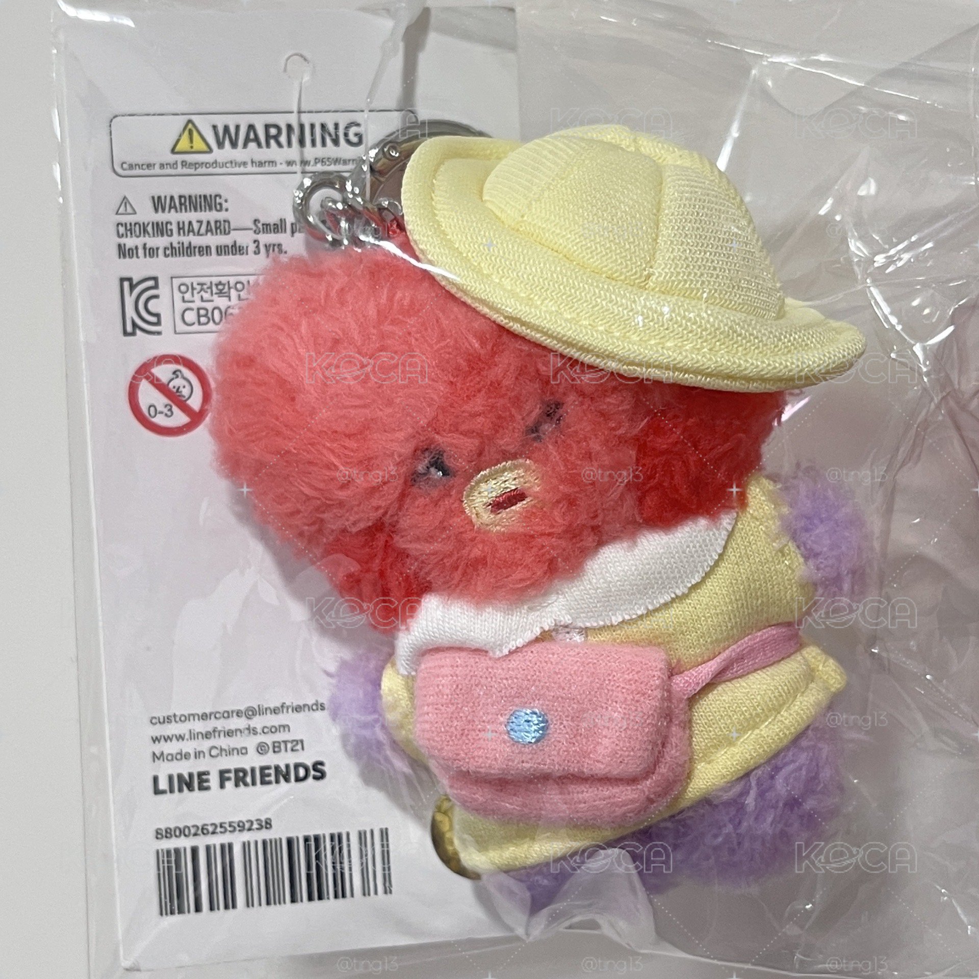 現貨 BT21野餐娃娃 鑰匙圈