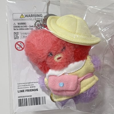 現貨 BT21野餐娃娃 鑰匙圈