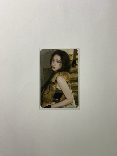 徽章柚