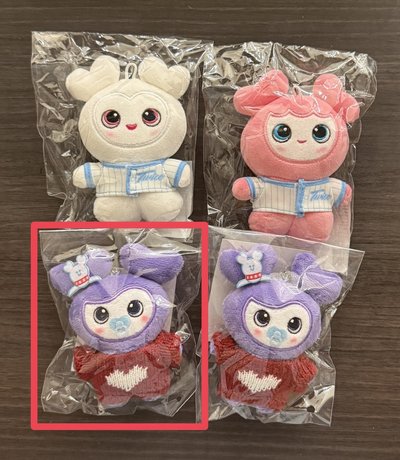 Sana 2025 冬日娃