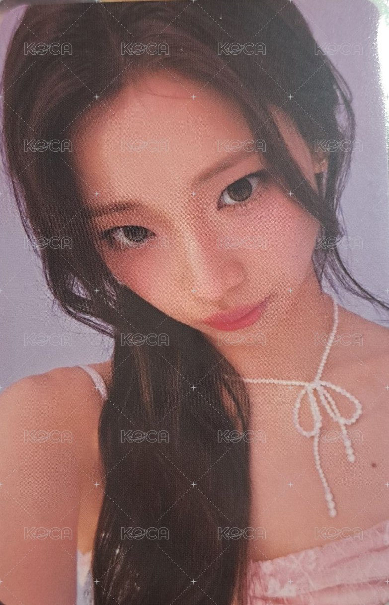 專卡6