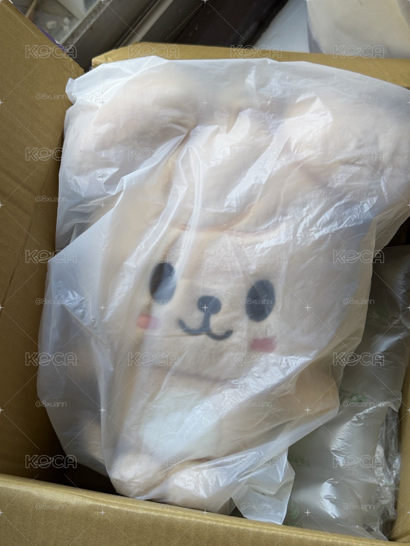 六期飯咪