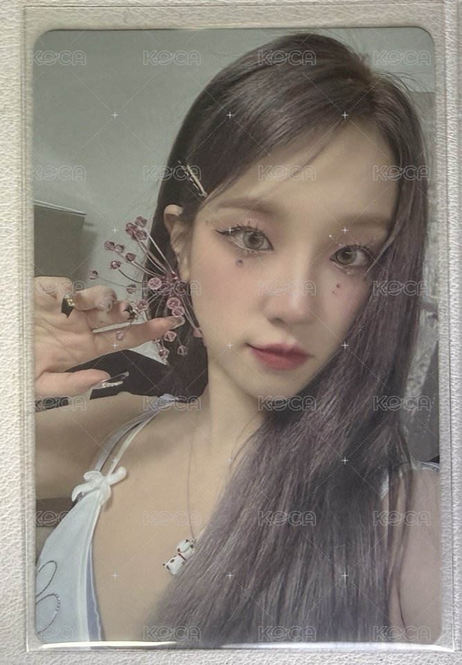 蝴蝶琦