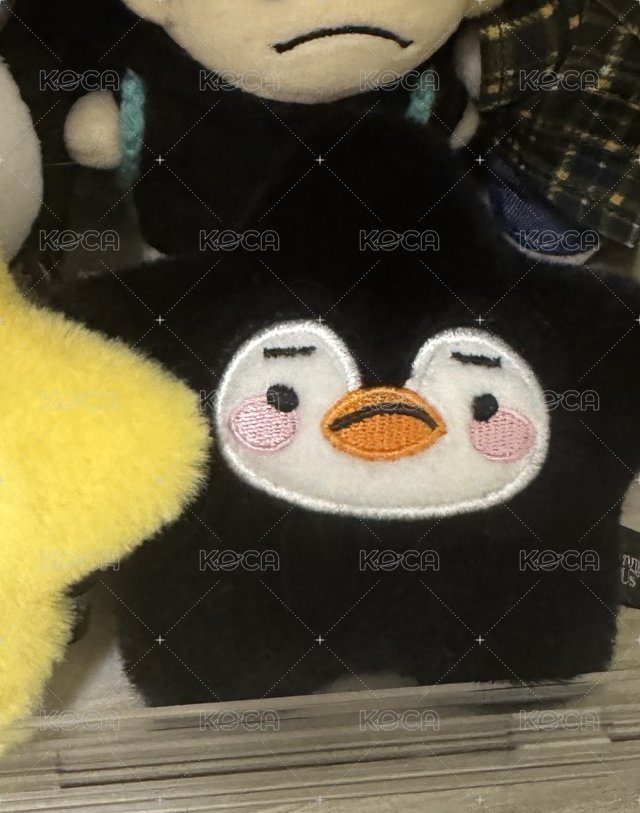黑星星