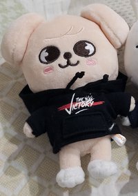 狗