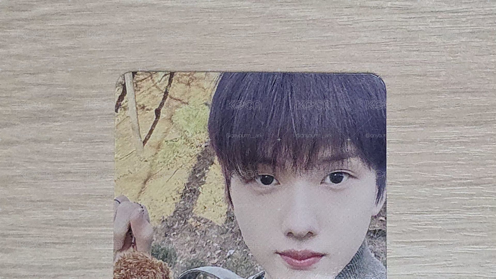 [Jisung] 栗子人 周邊卡 栗子吊飾小卡