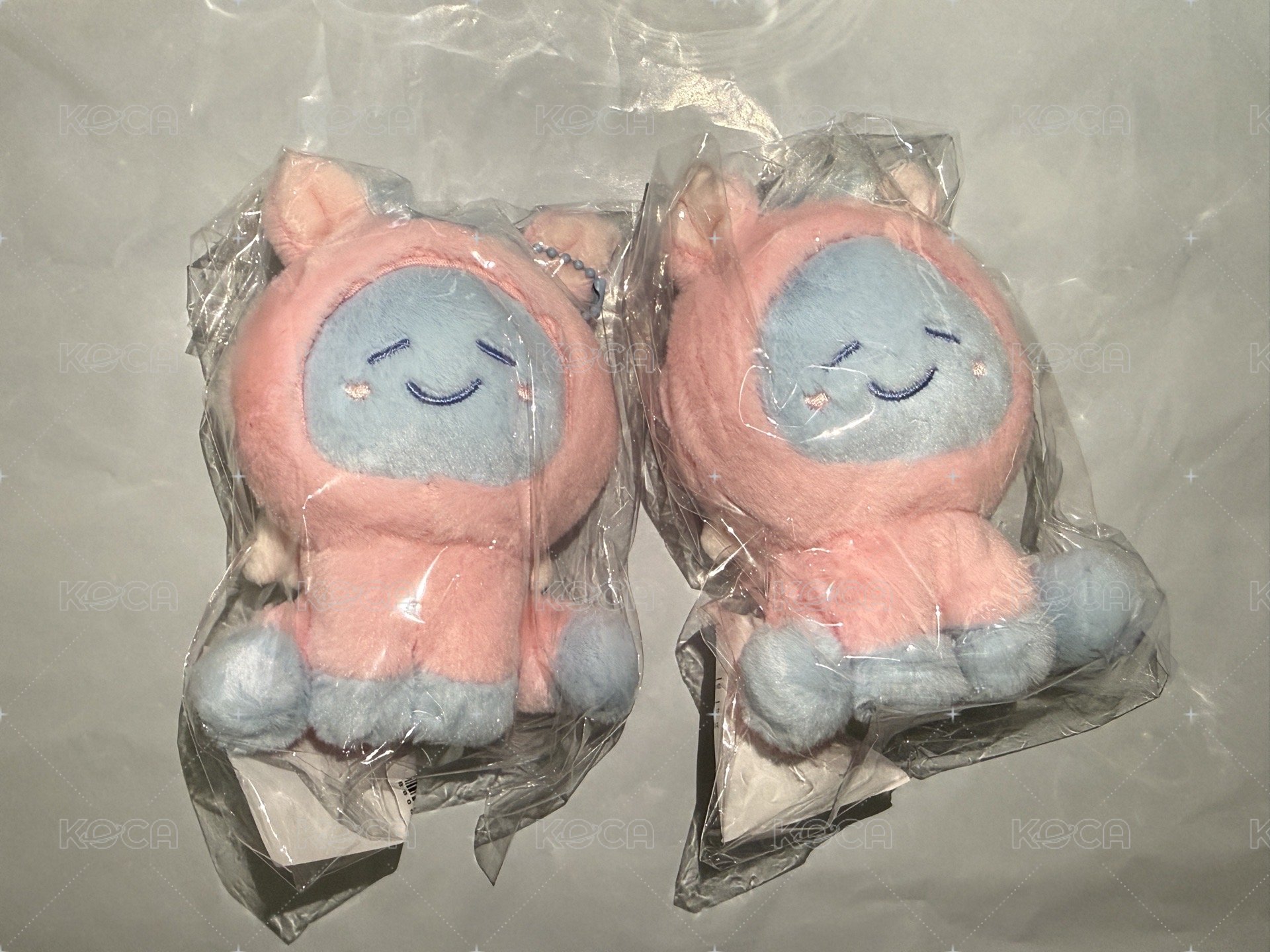 東海赤兔馬