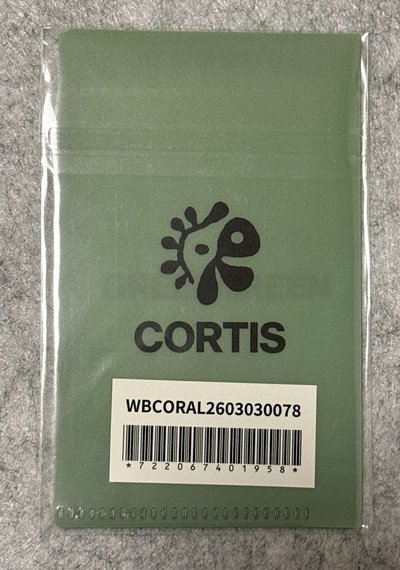 CORTIS 迷二日卡預售特典+迷一安手繪徽章