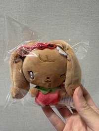 員曬黑娃（需帶一）