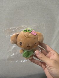 安曬黑娃（需帶一）