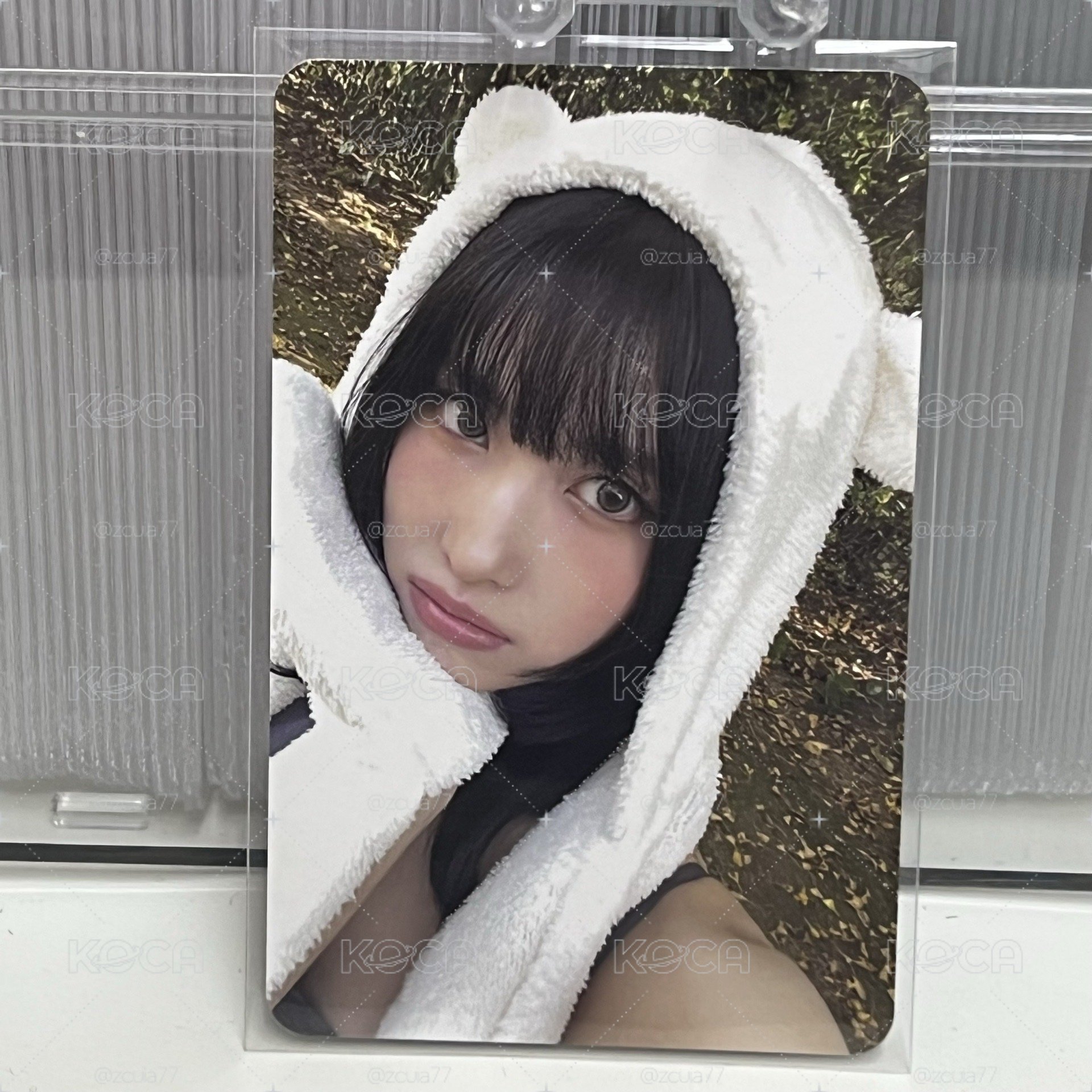 白帽桃
