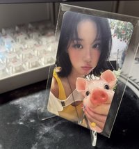 ms特典 小豬冬冬🐷