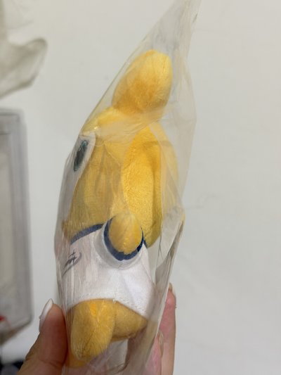 十週年jively志效