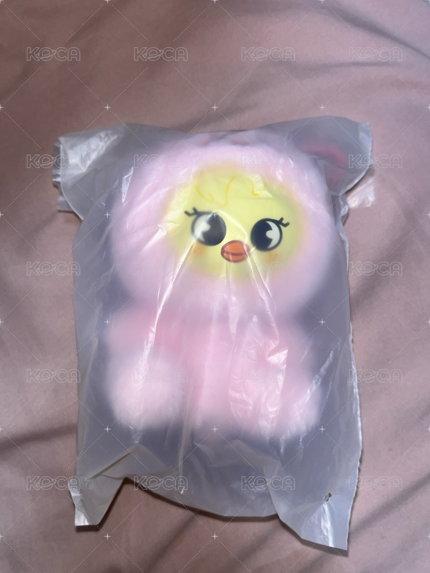 菲吊娃