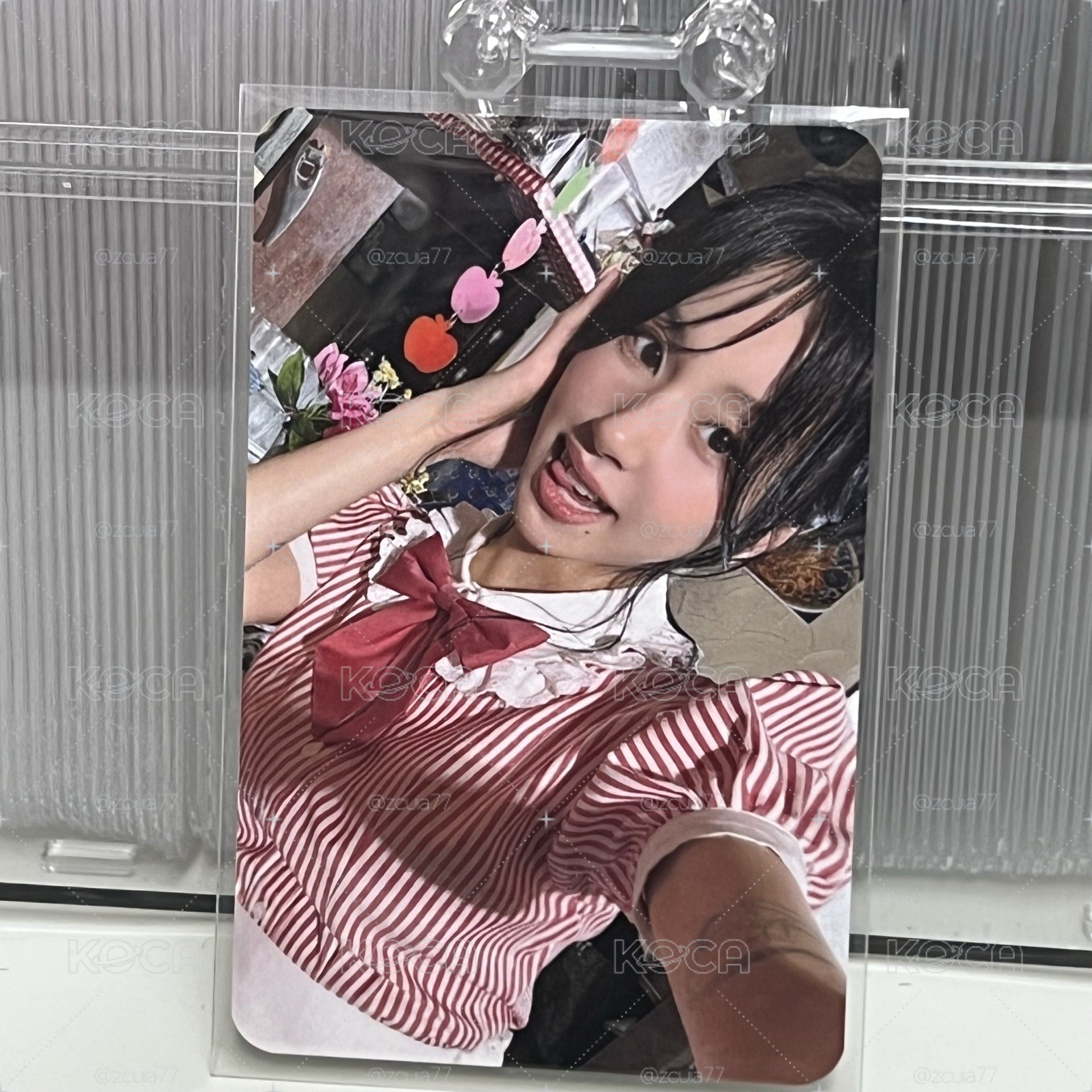 sw彩