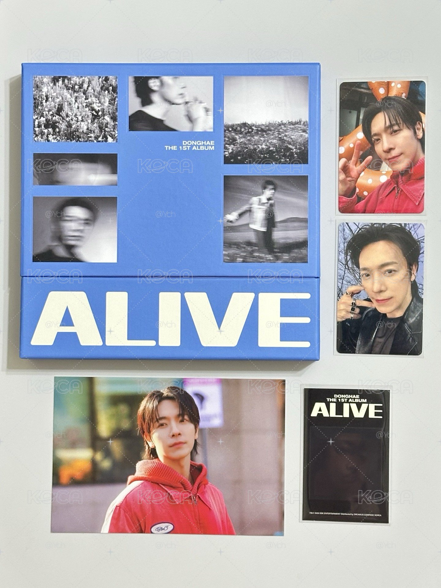 東海 ALIVE 🐯