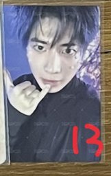 顯13