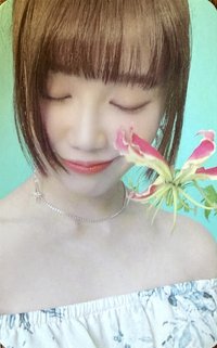 20年曆 年曆卡 