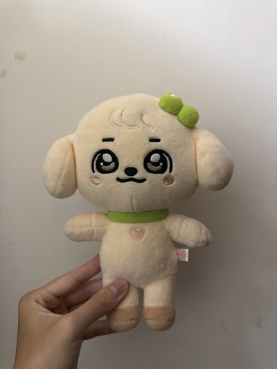 20cm康安吉 已拆封 送娃衣