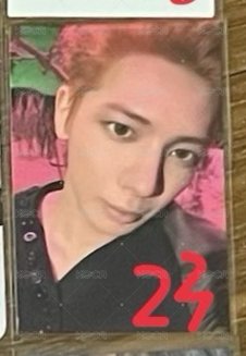 顯23