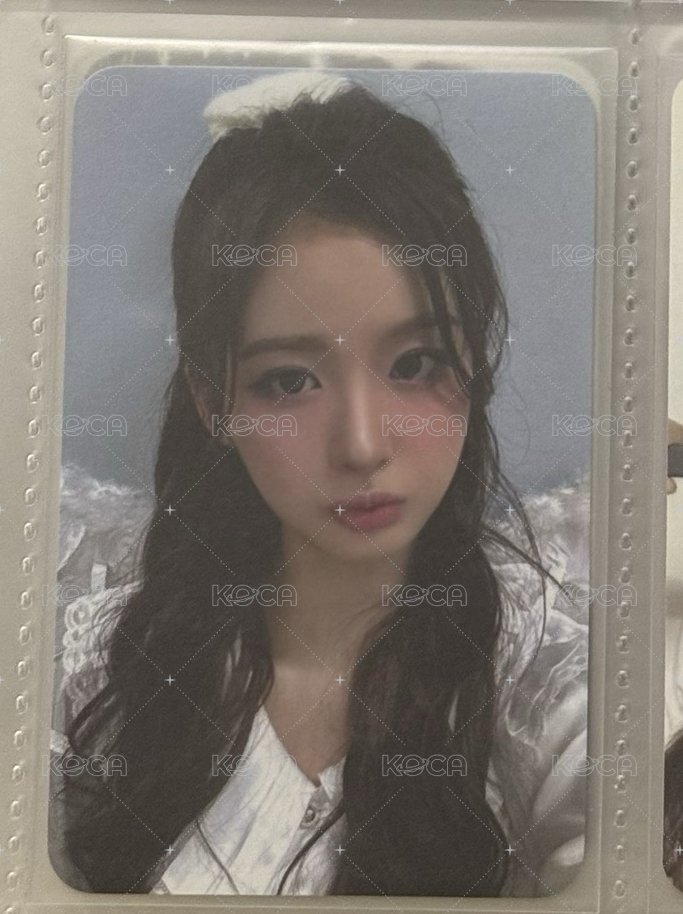 🐰月光天使